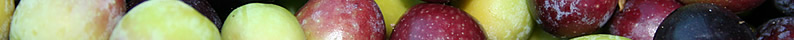 Olives Plantadeta